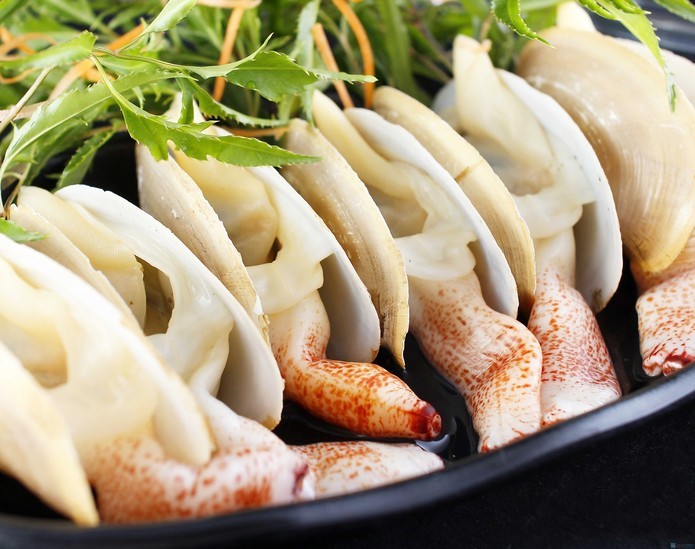 Geoduck