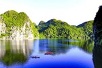 Lan Ha Bay – Where the Forest Tells the Sea’s Story
